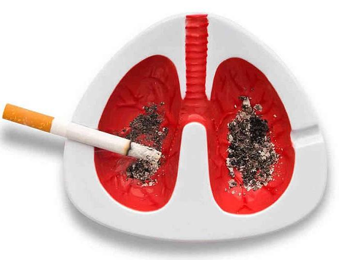 Дыхательная система человека и марихуана. Правда и вымысел | BadTrip | Дзен